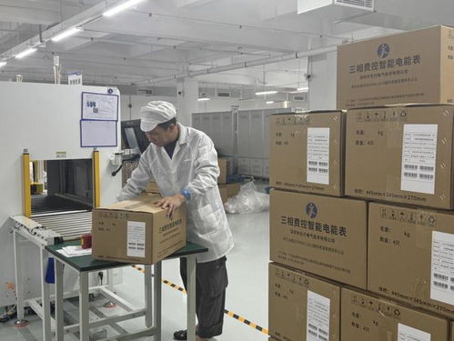 智能電表行業(yè)迎來發(fā)展新契機 技術(shù)革新與市場需求雙輪驅(qū)動計量技術(shù)服務升級