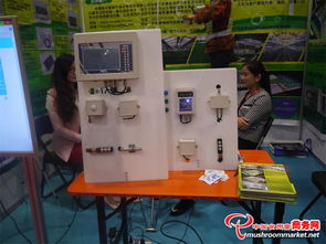 科技賦能 味蕾綻放——3000多項食用菌產(chǎn)品技術(shù)亮相青島會展，計量技術(shù)服務助力產(chǎn)業(yè)升級